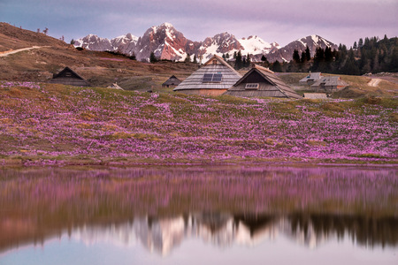 Cvetoča Velika planina – informacije za obiskovalce (5)